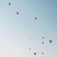 昆虫记之绿蚂蚱读后感合集