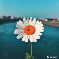 鼓楼生态园小学生读后感汇编