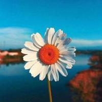 开学第一课柯杰观后感整理