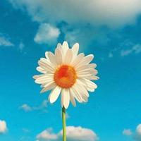 徐家骏辞职信读后感范文聚集