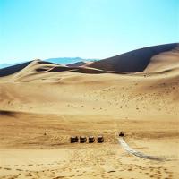 让孩子自己激励自己读后感精练