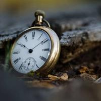 历史观后感400字作文集锦