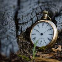 关于我学习宪法的观后感汇总