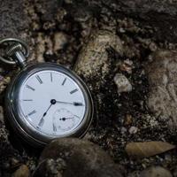 民族文艺晚会观后感汇总