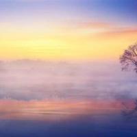 观看禁毒戒毒公开课观后感总汇