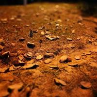 追求读后感穆树源集锦