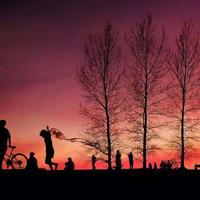 孔子学堂观后感1500总汇