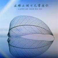 电影观后感一百字总汇