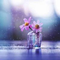 别在挫折的脚下读后感收集