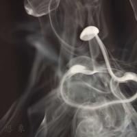 决战纪念馆观后感精练