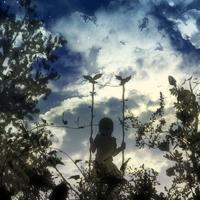 皮皮鲁读后感小学生汇聚