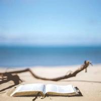 澳门风云3观后感整理