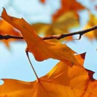 创意产业经济学读后感汇合