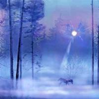 观看不能说的秘密读后感合计