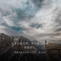 昆虫记蝉篇读后感精选