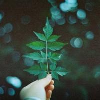 宇宙观后感450字左右汇集