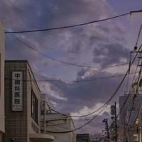 归家这首诗的读后感细选