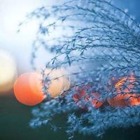 北京的扇子读后感总汇