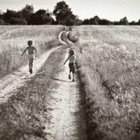 将自己切成一颗钻石读后感汇聚