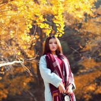 建军节阅兵仪式观后感整理