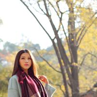 军师联盟观后感大全选录