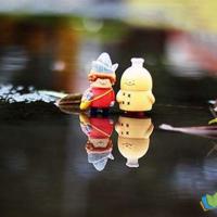 菊展观后感20字汇聚