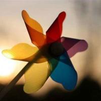 朋友多了不孤单的读后感汇合