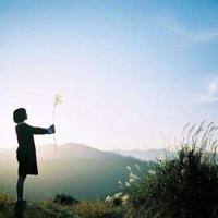 抗日反战同盟观后感总汇