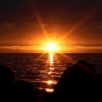 外婆读后感350字合计