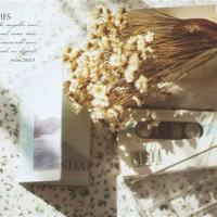 鱼夫和他妻子的读后感选录