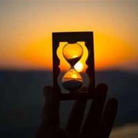 天鹅牧场读后感100字细选