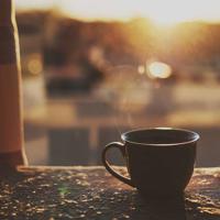 饥饿游戏观后感450字细选