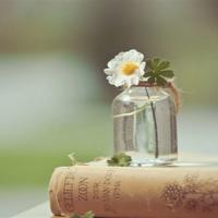 爸爸我想你.观后感整理