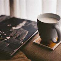 偷金盘读后感100字汇集