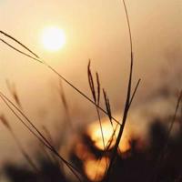 正面管教读后感500汇编