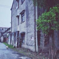 美云端音乐节闭幕式观后感汇总