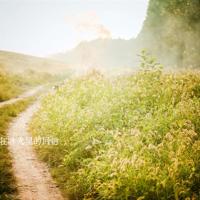 端午念屈原观后感总汇