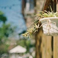 小豆豆观后感100字汇编