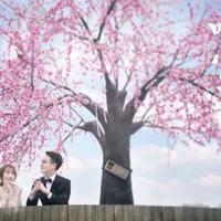 衬衣和皮鞋的读后感摘录