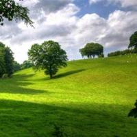 旋转的陀螺吴昕孺读后感汇合