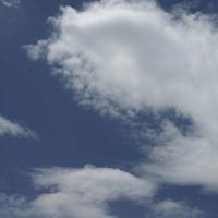 五年级父爱之舟读后感作文汇聚