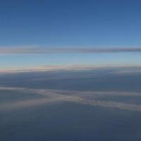 海狮表演观后感100字聚集