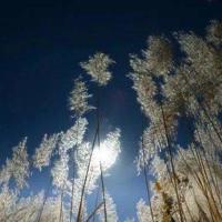 责任心观后感简短摘录