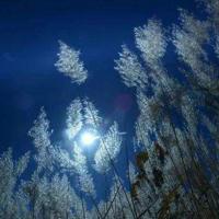 百问百答2人体读后感锦集