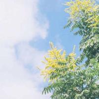 远方的家之边疆行观后感合计