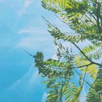 偷星九月天读后感218集合