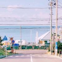 屈原读后感500字总汇