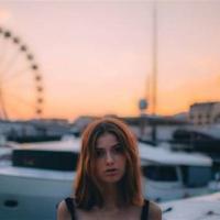 红楼梦第77回读后感汇合