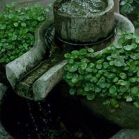 一本书一个梦读后感汇聚