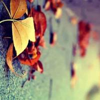 关于肥胖的问题观后感精练